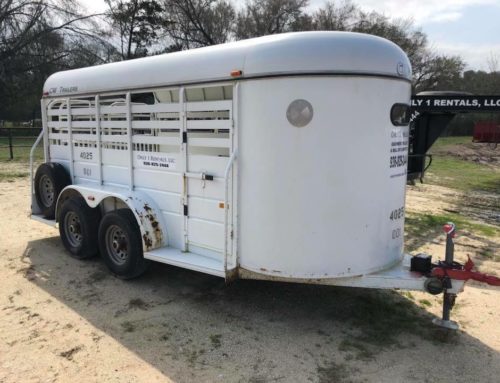16’ Bumper Pull Stock Trailer